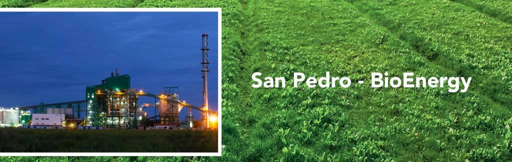 San Pedro BioEnergy destaca la apuesta de RD por las Energías Renovables
