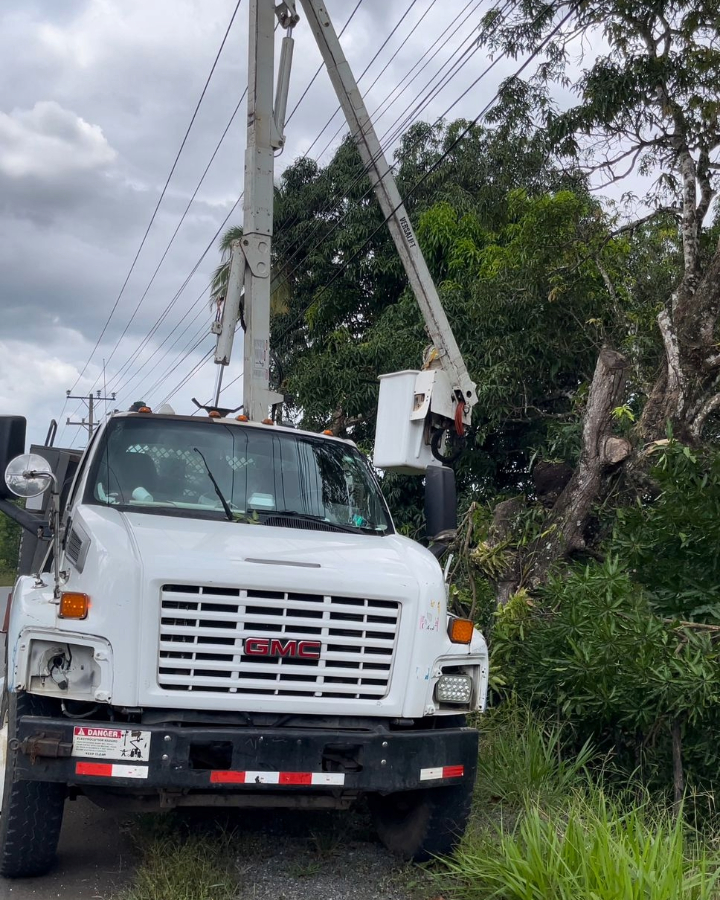 Edeeste ejecuta poda intensiva y mantenimiento preventivo en circuitos de Monte Plata y Bayaguana