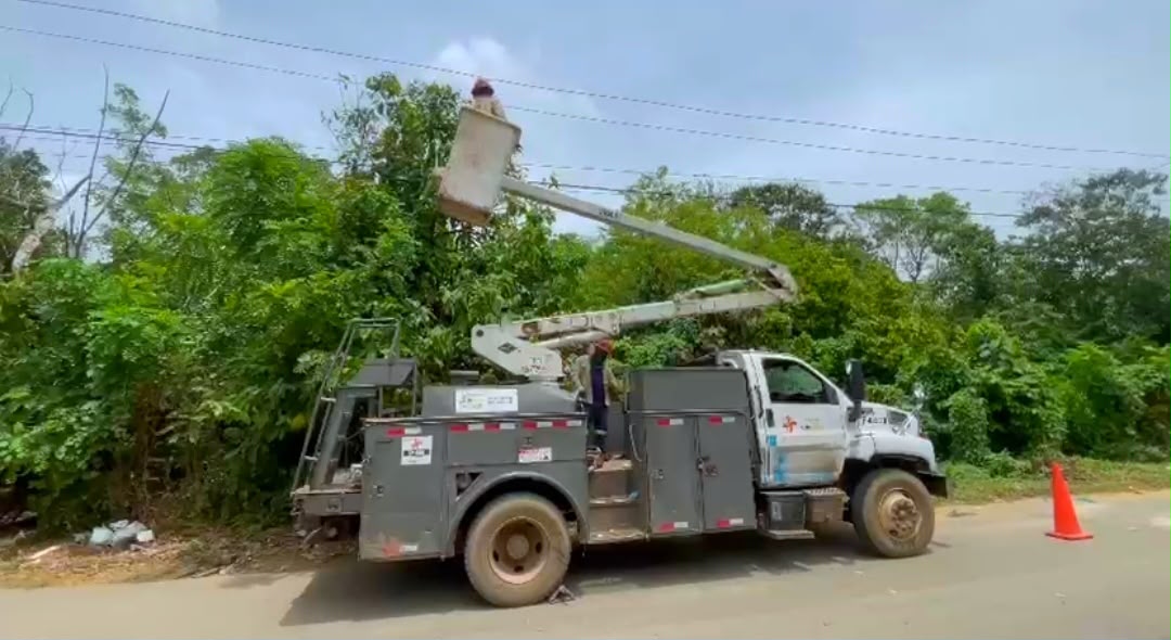 Edeeste fortalece la confiabilidad del servicio eléctrico con trabajos de mantenimiento preventivo en Peralvillo, Monte Plata